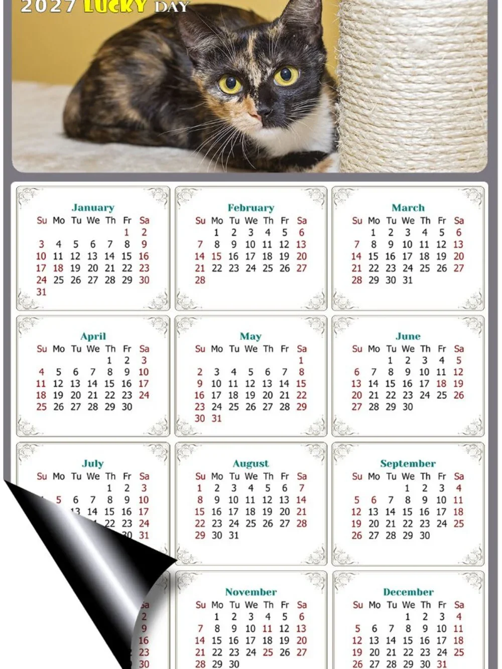2027 Magnetic Calendar - Today is my Lucky Day - Cat Themed 024 (7 x 10.5)